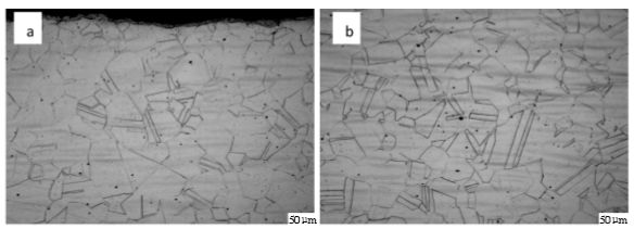 圖6 904L熱軋態(tài)固溶處理后顯微組織(a,邊部;b,心部).png 圖6 904L熱軋態(tài)固溶處理后顯微組織(a,邊部;b,心部).png